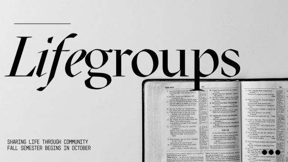 Lifegroups-Fall