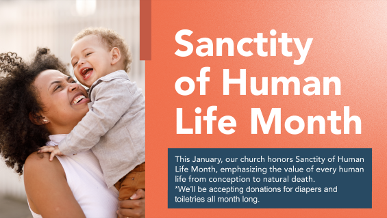 SOHL_Slides_SOHL_Slide 1